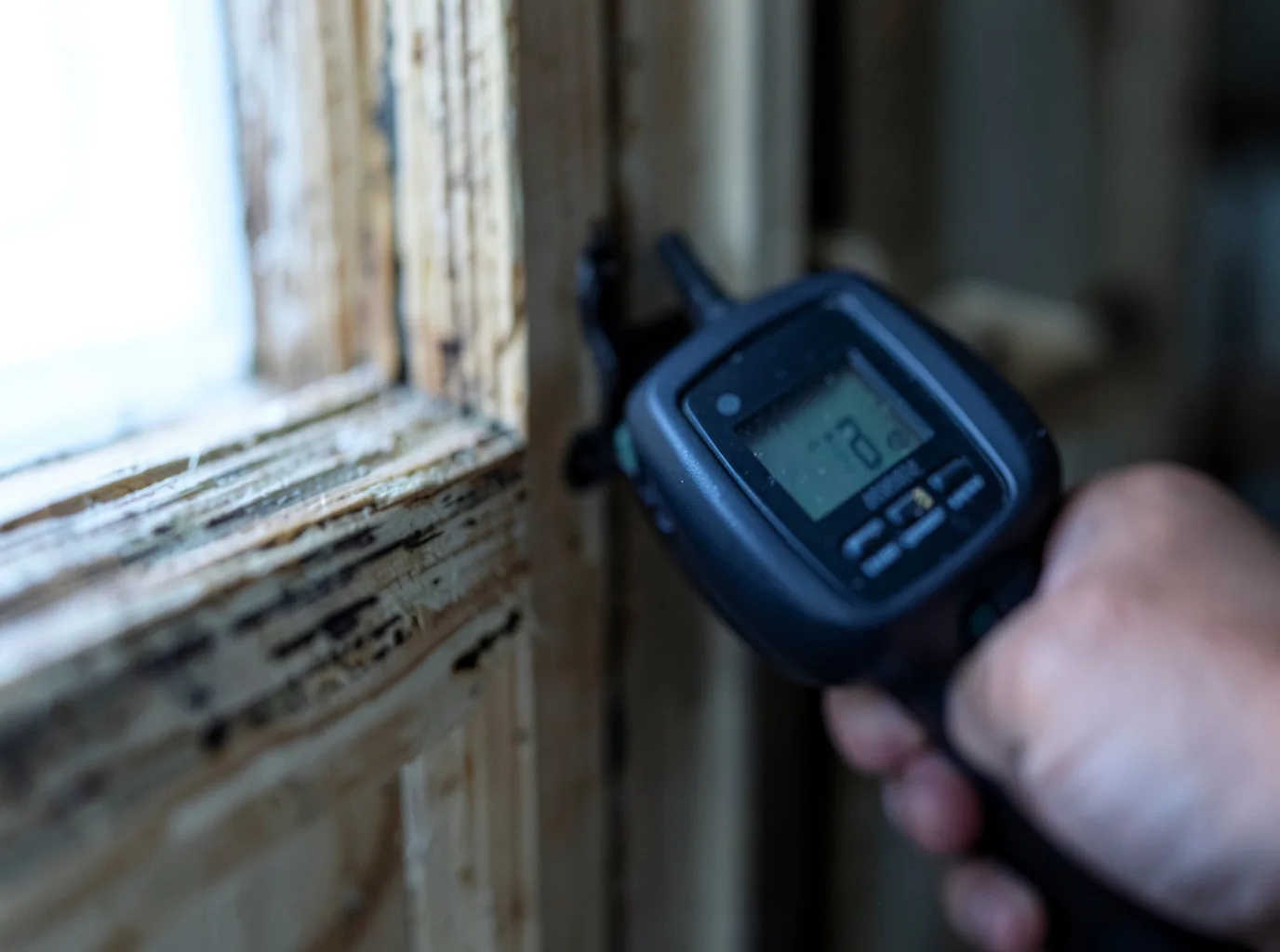 Moisture Inspection And Documentation in Reynoldsville, PA